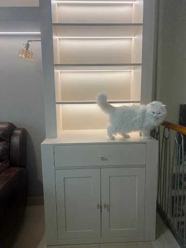 Photo from customer review