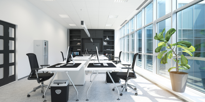 Bringing Nature Indoors Incorporating Biophilic Design in Your Home Office commercial interior designing