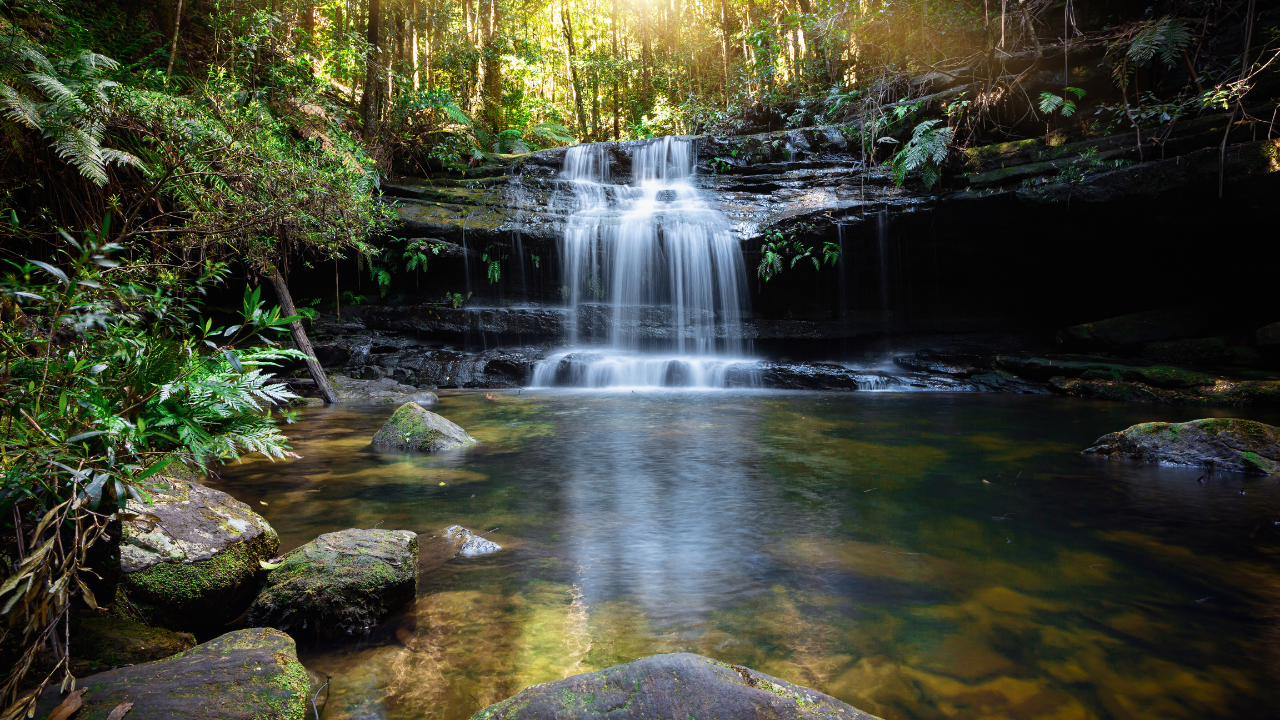 Urban Oasis – Designing a tranquil in the heart of the city